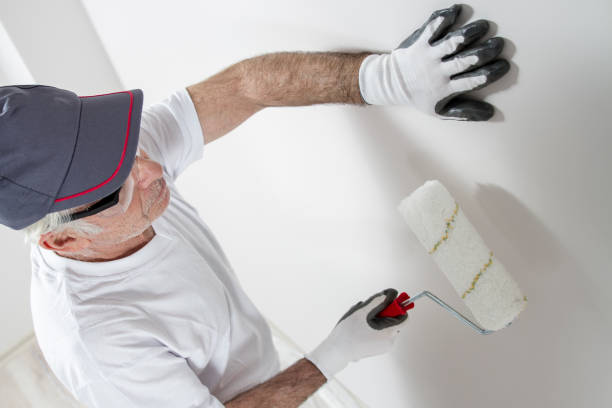 Best Mold Odor Removal Services  in Ripley, OH