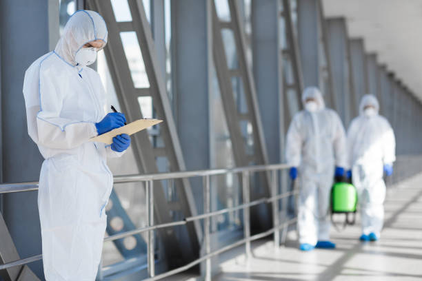 Best Mold Documentation for Insurance Claims  in Ripley, OH