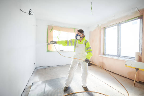 Best Mold Damage Restoration  in Ripley, OH