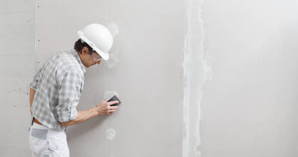 Best Mold Remediation for Healthcare Facilities  in Ripley, OH