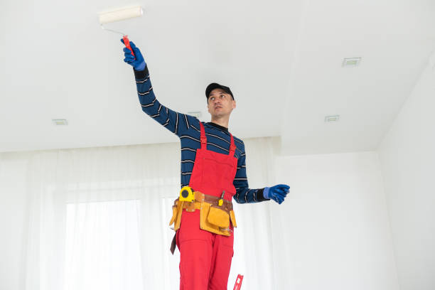 Best Post-Construction Mold Inspection  in Ripley, OH