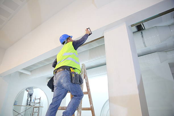 Ripley, OH Mold Removal Company